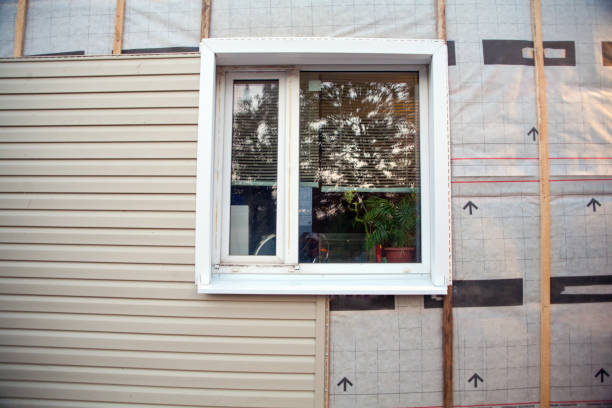 Best Vinyl Siding Installation  in Mount Morris, IL